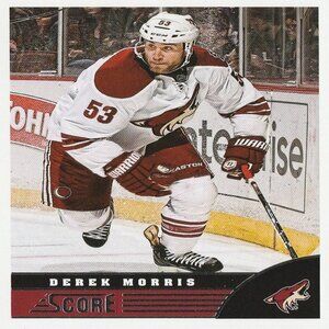 Derek Morris - 2013/2014 Score Hockey Card